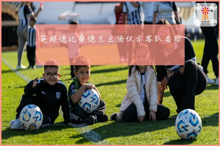 英超德比桑德兰主场仅示客队名称